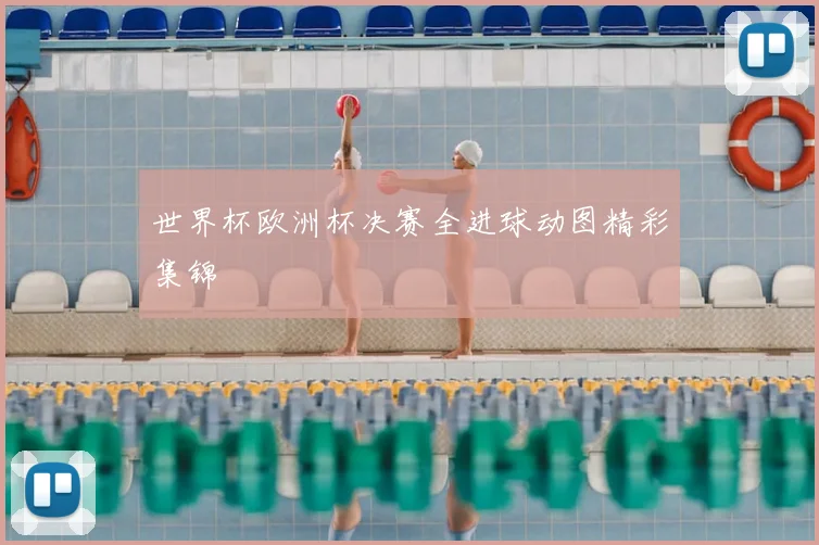 世界杯欧洲杯决赛全进球动图精彩集锦