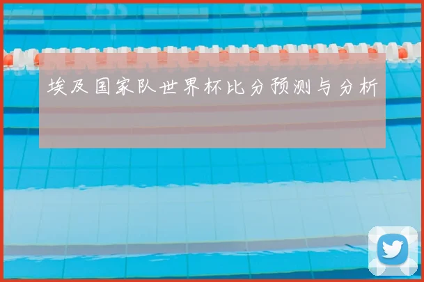 埃及国家队世界杯比分预测与分析