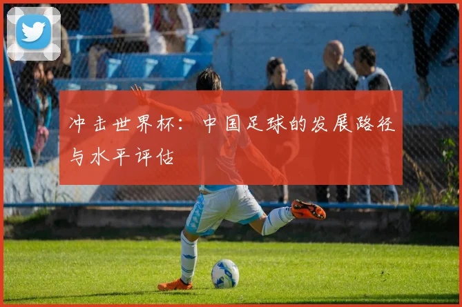 冲击世界杯：中国足球的发展路径与水平评估