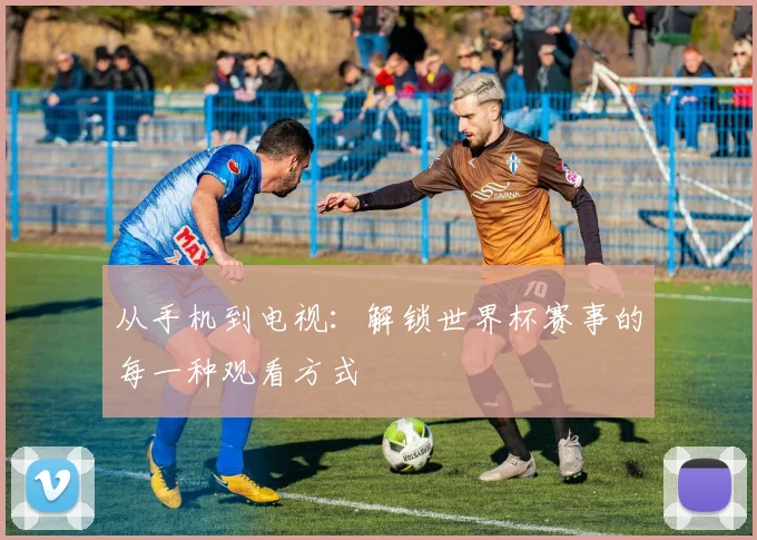 从手机到电视:解锁世界杯赛事的每一种观看方式