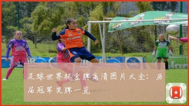 足球世界杯金牌高清图片大全：历届冠军奖牌一览