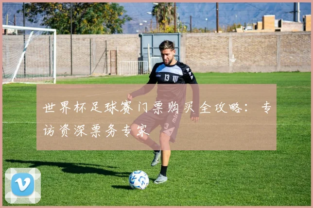 世界杯足球赛门票购买全攻略：专访资深票务专家