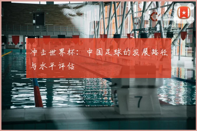 冲击世界杯：中国足球的发展路径与水平评估