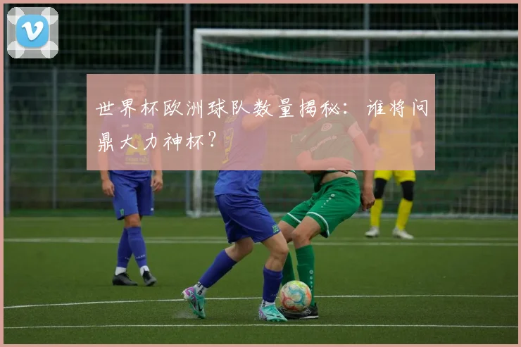 世界杯欧洲球队数量揭秘：谁将问鼎大力神杯？