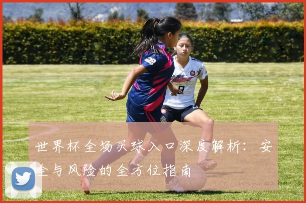 世界杯全场买球入口深度解析：安全与风险的全方位指南