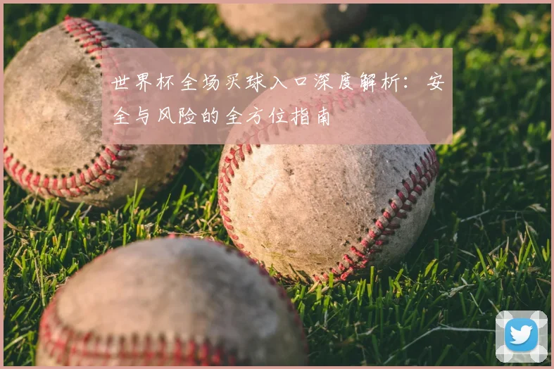 世界杯全场买球入口深度解析：安全与风险的全方位指南
