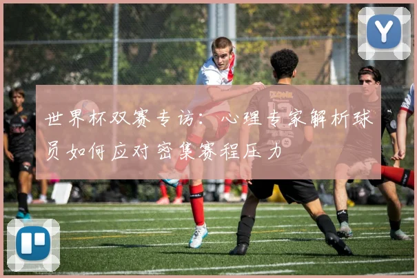 世界杯双赛专访：心理专家解析球员如何应对密集赛程压力