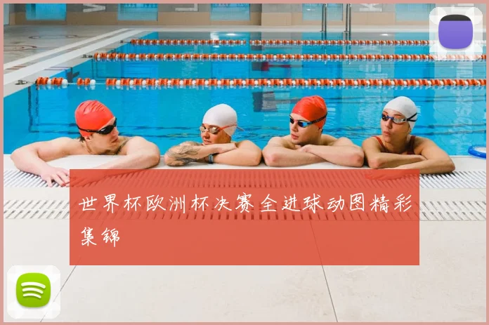 世界杯欧洲杯决赛全进球动图精彩集锦