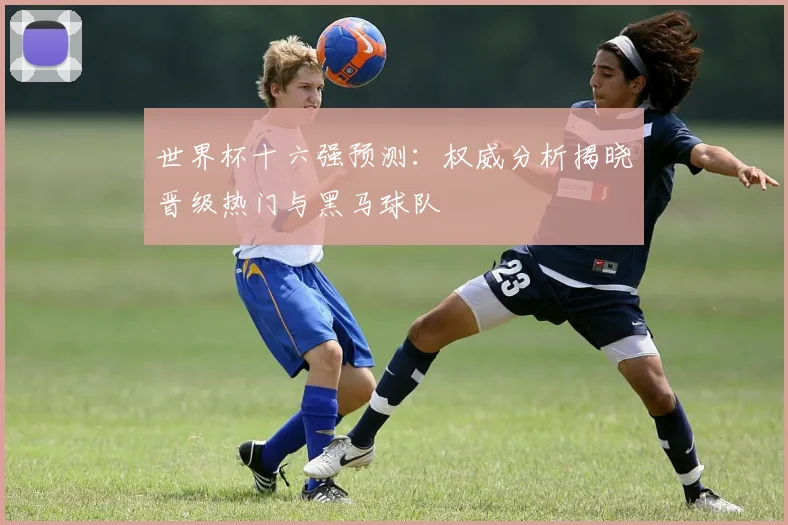 世界杯十六强预测：权威分析揭晓晋级热门与黑马球队